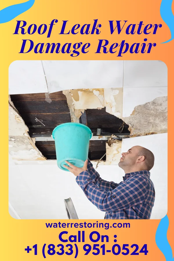Roof Leak Water Damage Repair in Punxsutawney, PA