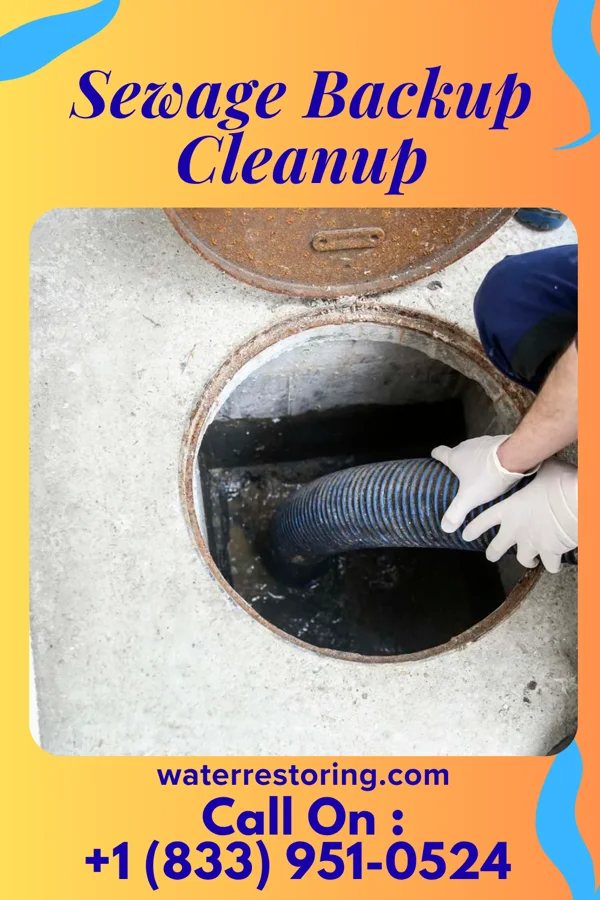 Sewage Backup Cleanup in Punxsutawney, PA