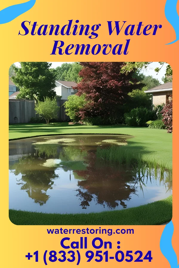 Standing Water Removal in Punxsutawney, PA